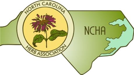 Group Banner Picture